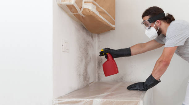 Professional Hvac And Air Duct Mold Remediation technician working in Mendham, NJ